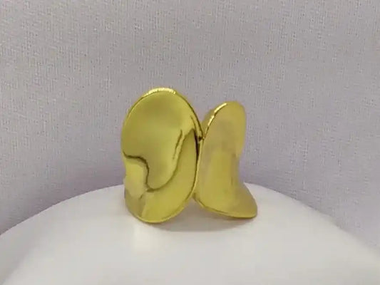 ANILLO OURENSE