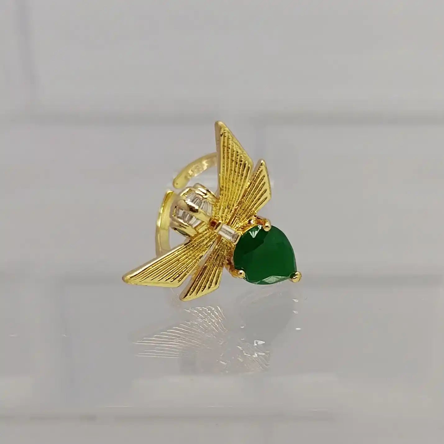 ANILLO FES