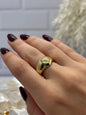 ANILLO LETONIA